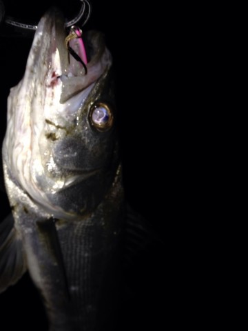 spesabavodexdnw2z9my_690_920-0f6eb589.jpg
