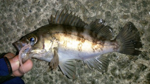 spit5xakvoznshj983n7_920_517-84cd2266.jpg