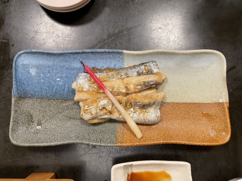 spozkw999f7czcpjfxo8_480_480-d11a9f6a.jpg