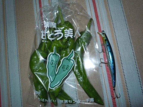 sppyme5s2unn4bbz3ut7_480_480-a2010d4d.jpg
