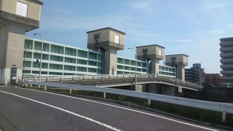 spxf4sx2nue97vpi7h76_480_480-4597b85f.jpg