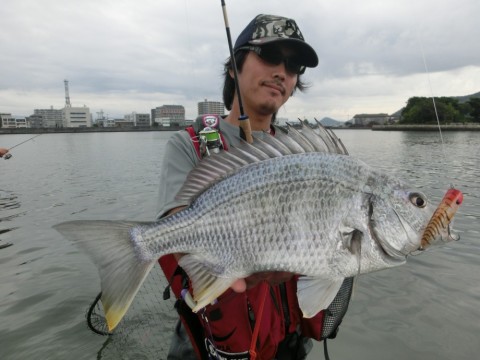 sr53oz83hortcwgmkkp5_480_480-261d89bb.jpg