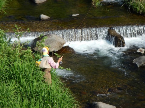 sr88j86t6otekak95yiz_480_480-382e23f3.jpg