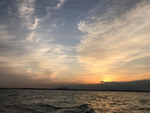 sre9dshnd5a958gwk2bx_920_690-c673f5e2.jpg