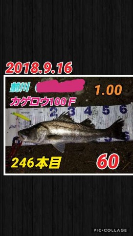 srf7wxxr8xdd692n6gv8_480_480-8922c730.jpg