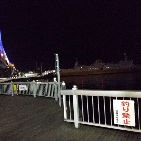 srjtex2g4g36y2hpb4b5_480_480-fdddcf9f.jpg