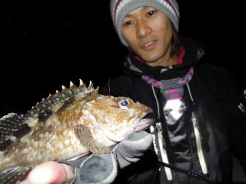 srnvg4amxjog6o9zjn8y_480_480-24c4f327.jpg
