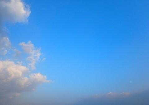 srp9kz77iwtx2wotm2ik_480_480-d0000534.jpg