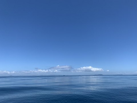 srzm5gjkmitzdp8hst3s_480_361-7d05d21e.jpg