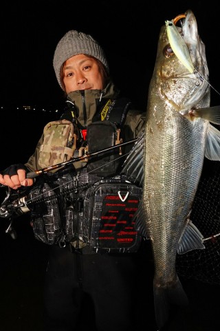 ss2bmcvekrbf5t5averb_480_480-965ef552.jpg
