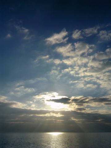 ss2yu5ob7ax8k8n8oeuy_480_480-dcc79696.jpg