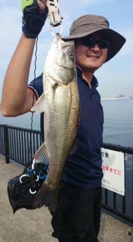 ss6jyd39yr266gz8txdv_505_920-6b9ee524.jpg