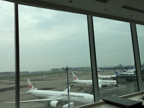 ss7v2nrnxgxi4rskmzsj_480_480-d73334a3.jpg
