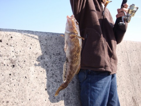 sscgBBYYgeyvZProLPB3_480_480-c300653d.jpg
