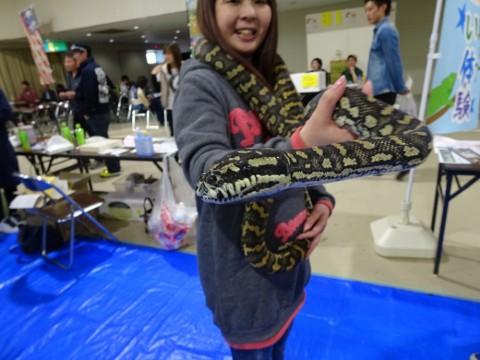 sshcthrcnoathkhpgyog_480_480-9262527e.jpg