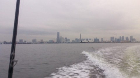 sspkkbvgj438vemkw5fy_480_480-a2d72c38.jpg
