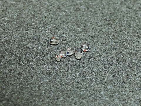 ssr5a5m9tdmpk4m4ppn3_480_480-bc404137.jpg