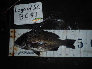 sstkecwygds743up6sxf-2cf39fcb.jpg