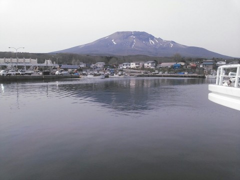 ssuf67ya6xavk4ejhjxw_920_690-761f6821.jpg