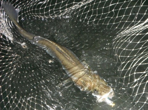 ssukecjgcn8ji8zno2d9_920_689-c4cf3c97.jpg