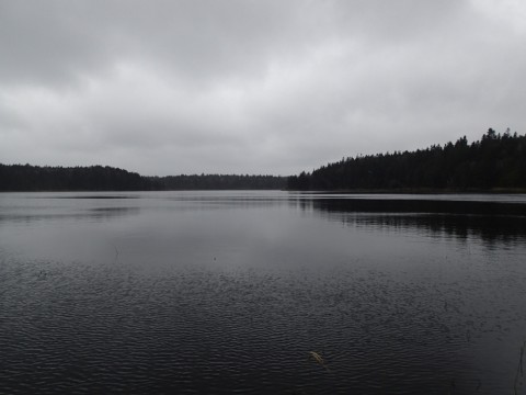 ssvchvo89vxdsvzzxyfm_920_690-315bb805.jpg