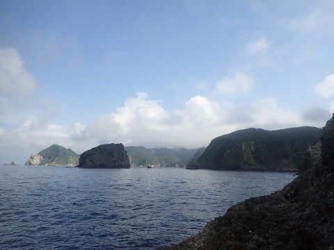 st329wuya8eiz5oywokb_480_480-e484b053.jpg