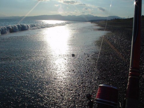 st8zir3hvonwra9btbjn_480_480-3b9da553.jpg