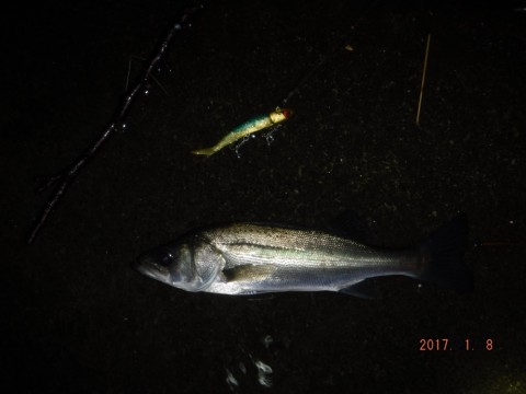 stdc5yde43ya63mv83vt_920_690-f3bbd211.jpg