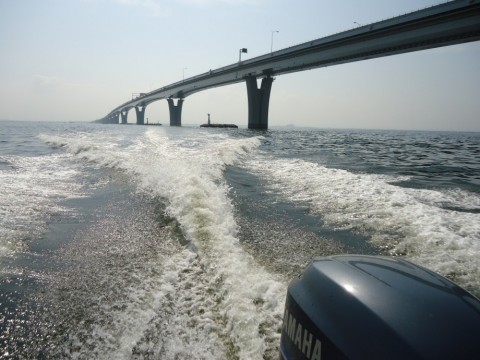 stdmmibvczt3vt5i2oku_480_480-75419228.jpg