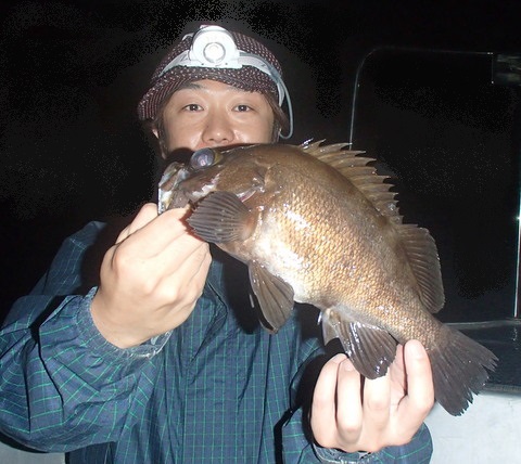 sti54ujgbmidkivj9std-35b175db.jpg