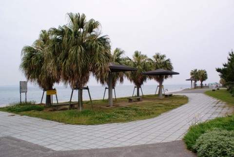 su5vjzsj6ry5tbtvs8b2_480_480-0e358f2e.jpg