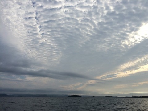 su8km6dunfjhe5xrnmdx_480_480-46233b99.jpg