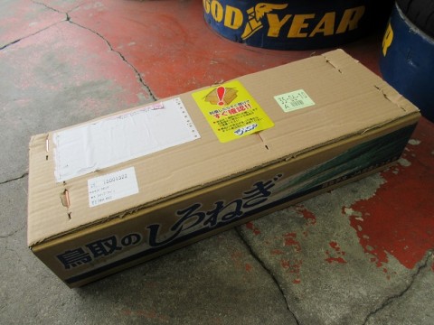 suc53kiois5zgya5b5yr_480_480-5e9da249.jpg
