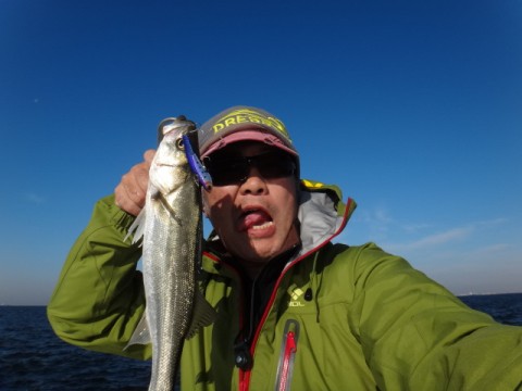suektu8xjnpom285r4w8_480_480-294258a6.jpg
