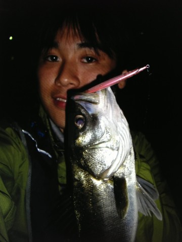 sui9obg8jw5gjp53u7r3_690_920-4b7bc883.jpg