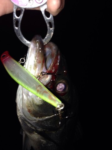 sup7ebz8wt7f79okdjhr_690_920-1c341c9e.jpg