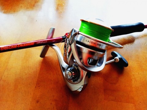 supxignbi36cjftj5mkw_480_480-f674fdca.jpg