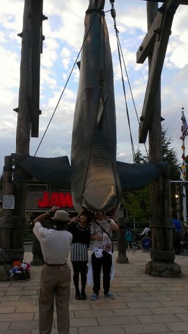 suwta27rzaiu7ko5m9sh_518_920-c01ae589.jpg