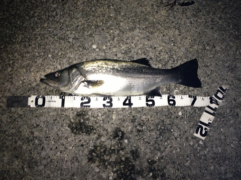 svwa5b57cntvs8ouyxsz-52fad2fa.jpg