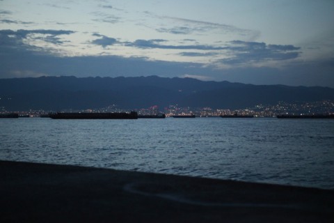 svzzzjfncyeusj8nbjk7_480_480-5b90c95a.jpg