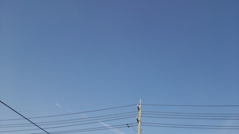 sw26k5m5i9noya6cxb48_920_518-bbe9e57f.jpg