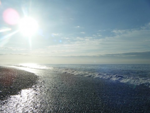 sw64uvfyzfcmsoewm9dr_480_480-19df484b.jpg