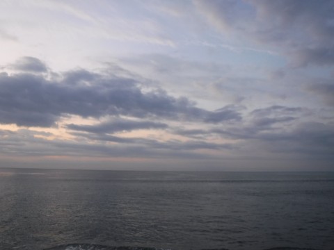 sw9rr2ki9rtyi9n3etyi_480_480-ab281505.jpg