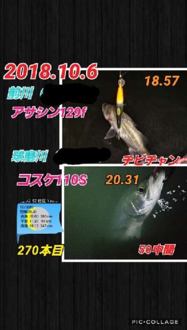 swd2d793nntzb848g6i7_480_480-6908c346.jpg