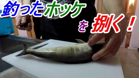 swo57g7nt5ed2k863zcp_480_480-496b3368.jpg