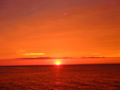 swy6hsbewbo3mjuwx5rd_480_480-1caf5889.jpg