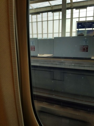 swyf6if28o8vp4y2zbj7_480_480-0255e9da.jpg