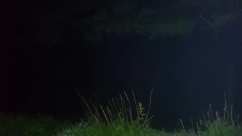 sx5cbj7wh4v5d52bevoc_920_518-123160af.jpg