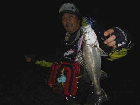 sx9pm2b4my5mvo89wbg7_480_480-f35db867.jpg