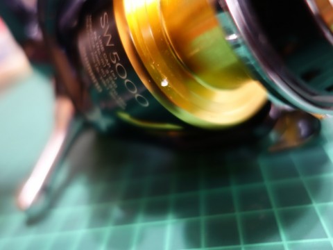 sxcae256az5vmrrynuug_480_480-9cb8589e.jpg